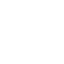 SUBMISSION GUIDELINES ICON
