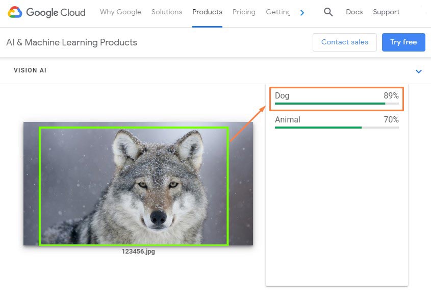 Google-Cloud-Image-Vision